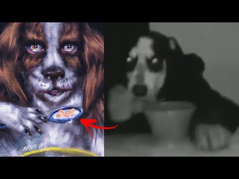 La Perturbadora Historia del Perro Comiendo Cereal con Cuchara