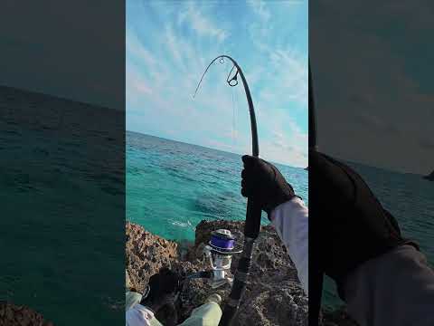 🔥 Master the Art of Summoning & Catching MONSTER Fish!