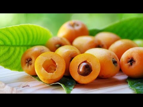 Loquat: 8 Potential Health Benefits, Nutrition Facts, And Side Effects #HealthTube