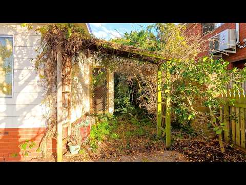 The Most SATISFYING Backyard Clean Up You Have Seen This YEAR!
