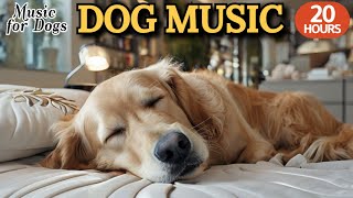강아지가 좋아하는 음악🐶💖강아지 수면 음악 20시간🐶🎵불안감을 낮춰주는 진정 음악🎵강아지의 마음을 편하게 해주는 음악🎵외출할때 출근할때 꼭 틀어주세요 by 힐링메이트