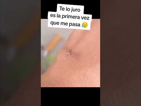 El garrote no aguanto 😔 #impotenciasexual  #casosdelavidareal #viral #trending #humor #memes #risas