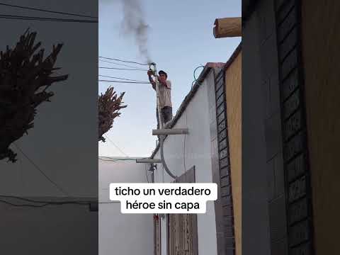 ticho un verdadero héroe #flyp #viralvideo #suscribeteanuestrocanal #veanlohastaelfinal