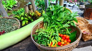 SLOW LIVING MENIKMATI HARI MENYATU DENGAN ALAM | MASAK HASIL PANEN DENGAN TUNGKU KAYU