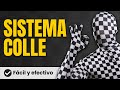 Chess Strategies and Responses