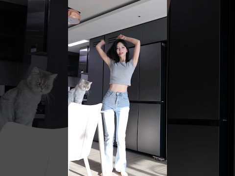 토토와 춤을? 신나는건 한번더!#댄스챌린지 #쇼츠 #trending