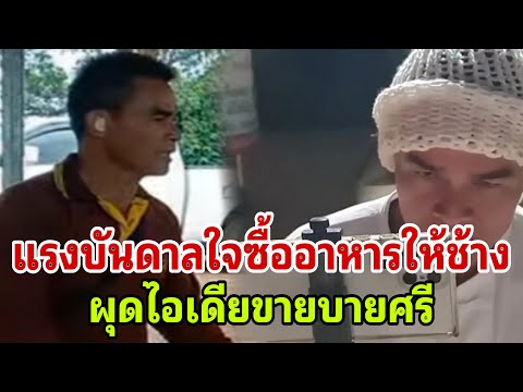 แรงบันดาลใจซื้ออาหารให้ช้างผุดไอเดียขายบายศรี