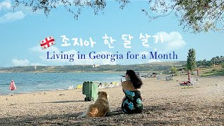 계속 달려야 할 것 같았는데, 그냥 쉬어도 괜찮더라 [한 달 살기 VLOG]