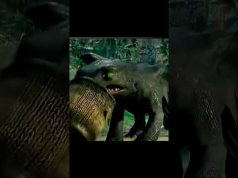 a boy saves a black dragon 😲😱