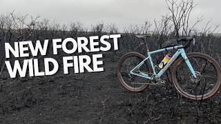 Exploring the New Forest Wildfire Damage | First Look