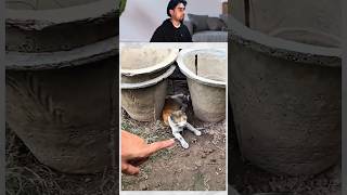Billa ka hua mu kala shehr main dihat