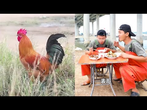 【大食い 】Chinese fishermen eat octopus, Boston lobster, scallops, clams, crabs, razor clams, conches