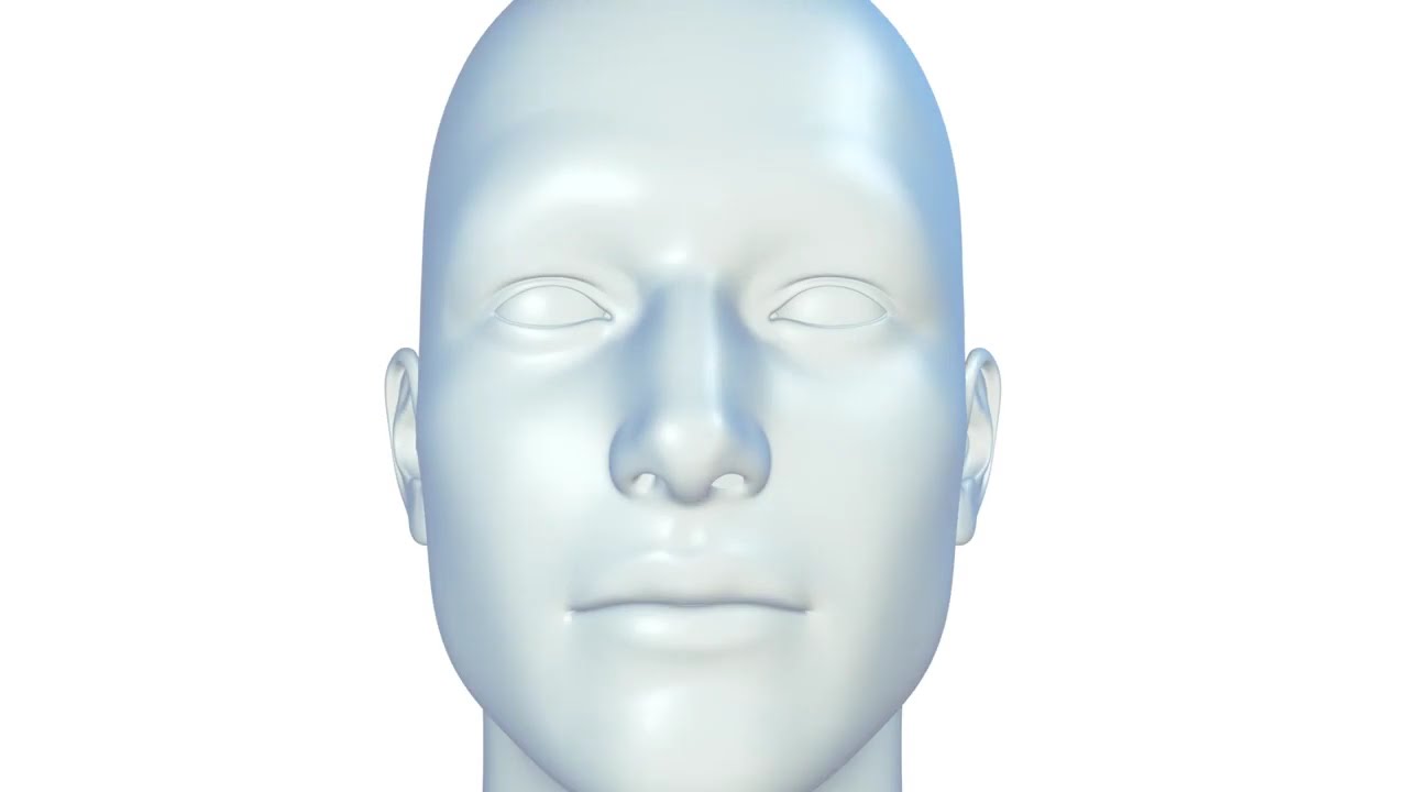 3D model of a human face without features.