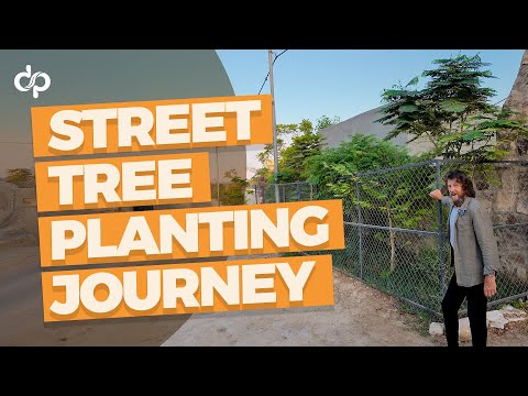 Street Planting Journey at the Greening the Desert Project