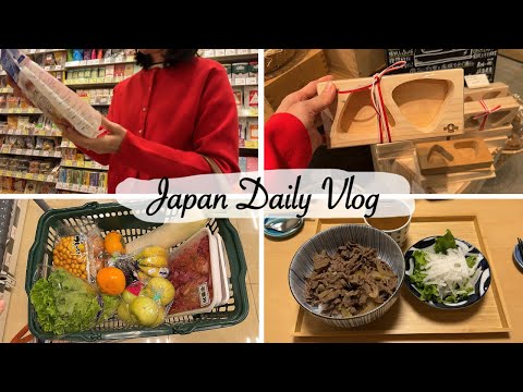 window shopping here and there, high-end supermarket, Gyudon dinner | japan vlog