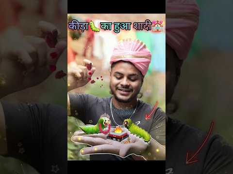 कीड़ा🐛का हुआ शादी💍😱💒! #wedding #shadi #comedy #couple