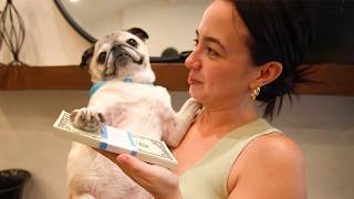 Throwing My Pug A Birthday Party! He’s Turning 9!