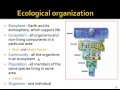 Exploring Ecological Organization from Organisms to Biosphere