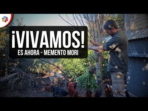 🤝 Permacultura y Estoicismo: Actúa, acepta, avanza y ¡VIVE! 🙌