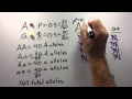 Genetics and Hardy-Weinberg Principles