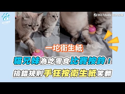 【貓兄妹為吃零食比賽按鈴！ 搞錯規則手狂按衛生紙笑翻】｜TikTok / 0617dudu / miu_2726