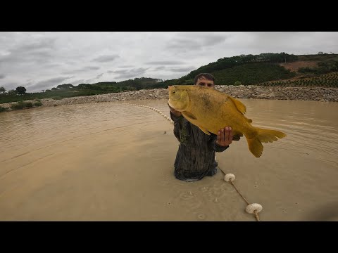 PASSANDO A REDE NO TANQUE PARA PEGAR A PIRARARA! SAGA PIRARARA