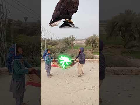 sub nabi yo sy ala #youtubeshorts #islamicvideo #islamicshorts