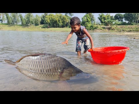 Amazing Traditional Boy Fish Catching By Hand in Water | Amazing Hand Fishing Video #Fish