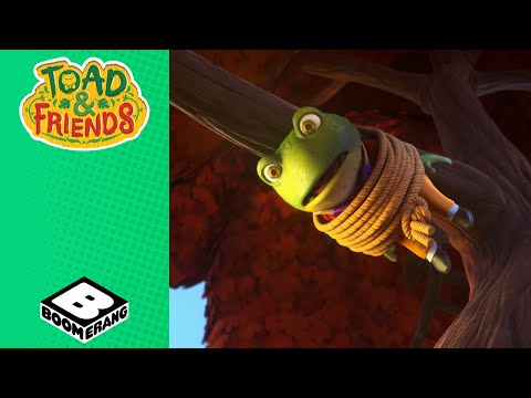 Superstar Toad! | Toad and Friends | @BoomerangUK