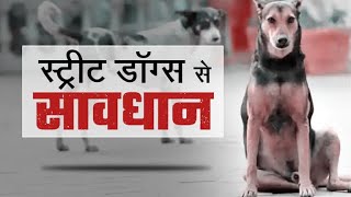 स्ट्रीट डॉग्स से सावधान #doglover #dog