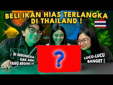 BELI IKAN HIAS TERLANGKA DI THAILAND ‼️