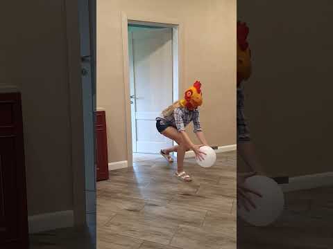 A doggie takes a white balloon from a chicken