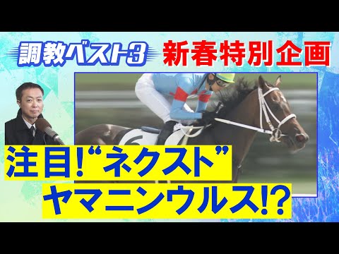 【新春企画 2025年注目馬！】「芝でもダートでも！」矢作厩舎が送り出す怪物候補＆可能性は無限大！無敗の逸材！競馬エイト・高橋賢司トラックマンが選ぶ 2025年の注目馬＆調教師＜調教ベスト３特別編＞