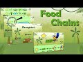 Ecosystem Roles and Energy Flow