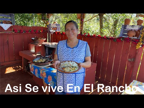 Si Ya No Saben Como Hacer El Pollo, Preparen Esta Receta De Pollo Con Crema