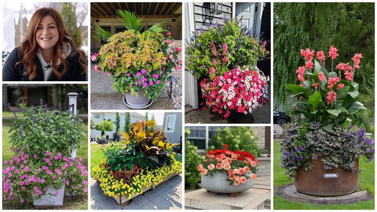 Looking at YOUR Amazing Containers (Part 2!