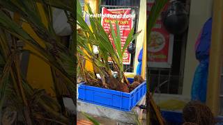 Healthy Street food #shorts