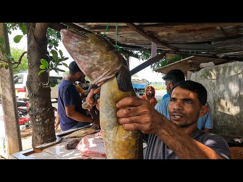 TOP 5 In Asia !! Discover the TOP 5 Rural Eel Fish Markets in Asia| Village Fish