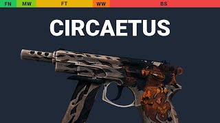 CZ75-Auto Circaetus Wear Preview