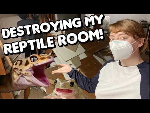 DESTROYING My Reptile Room!