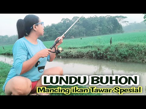Mancing di sungai SAWAH alam kampung pedesaan yang indah di temani embun pagi yang sejuk