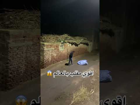 تتمني مين يبقي مكانو 😂😂😂😂