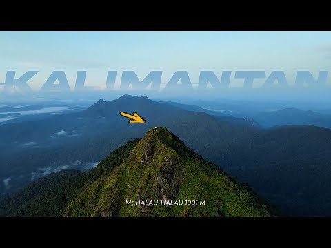 4 HARI di  Pegunungan Kalimantan!!!