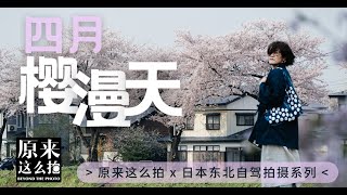 冰火两重四月樱漫天，大雪、温泉与樱花的邂逅｜#原来这么拍 第260集