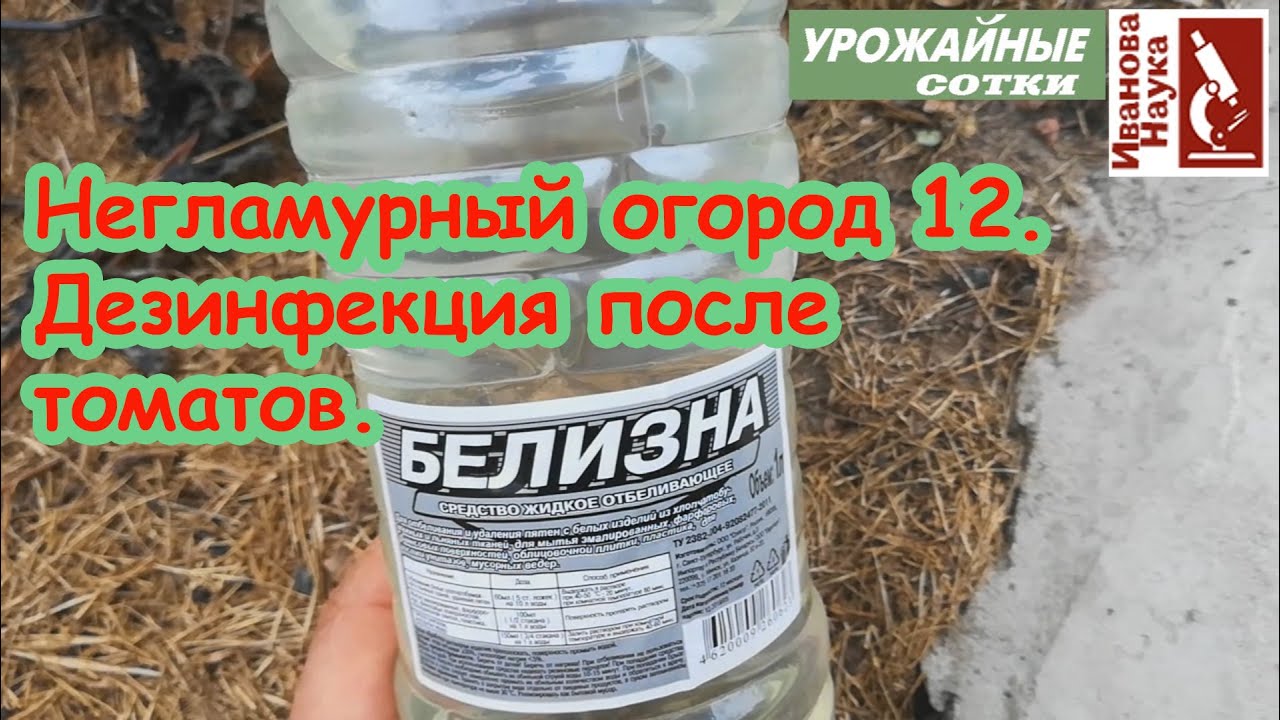 Негламурный огород12. Обработка участка после томата, перца и баклажана: как это сделать правильно
