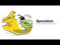 Speciation and Evolutionary Processes