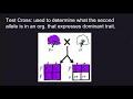 Genetics Concepts and Terminology