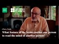Social Cognition and Brain Function