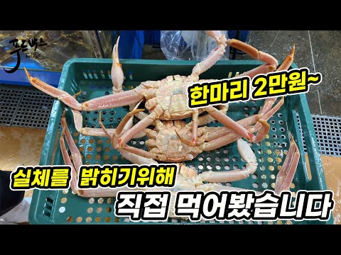 치킨값보다 싼 대게.. 과연 이게 쓰레기일지  가격대별로 먹어봤습니다!!!