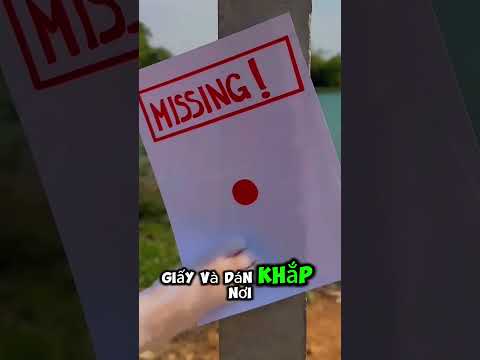 chú mèo này đã cố gắng tìm kiếm con vật kỳ lạ.